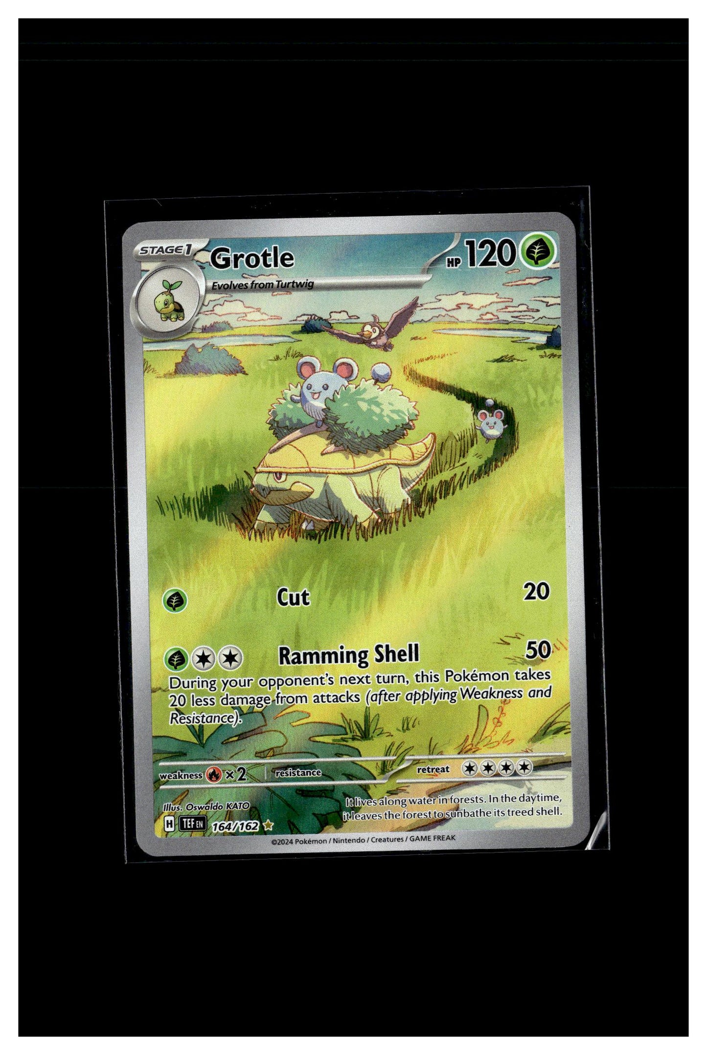 SV05: Temporal Forces #164/162 Grotle