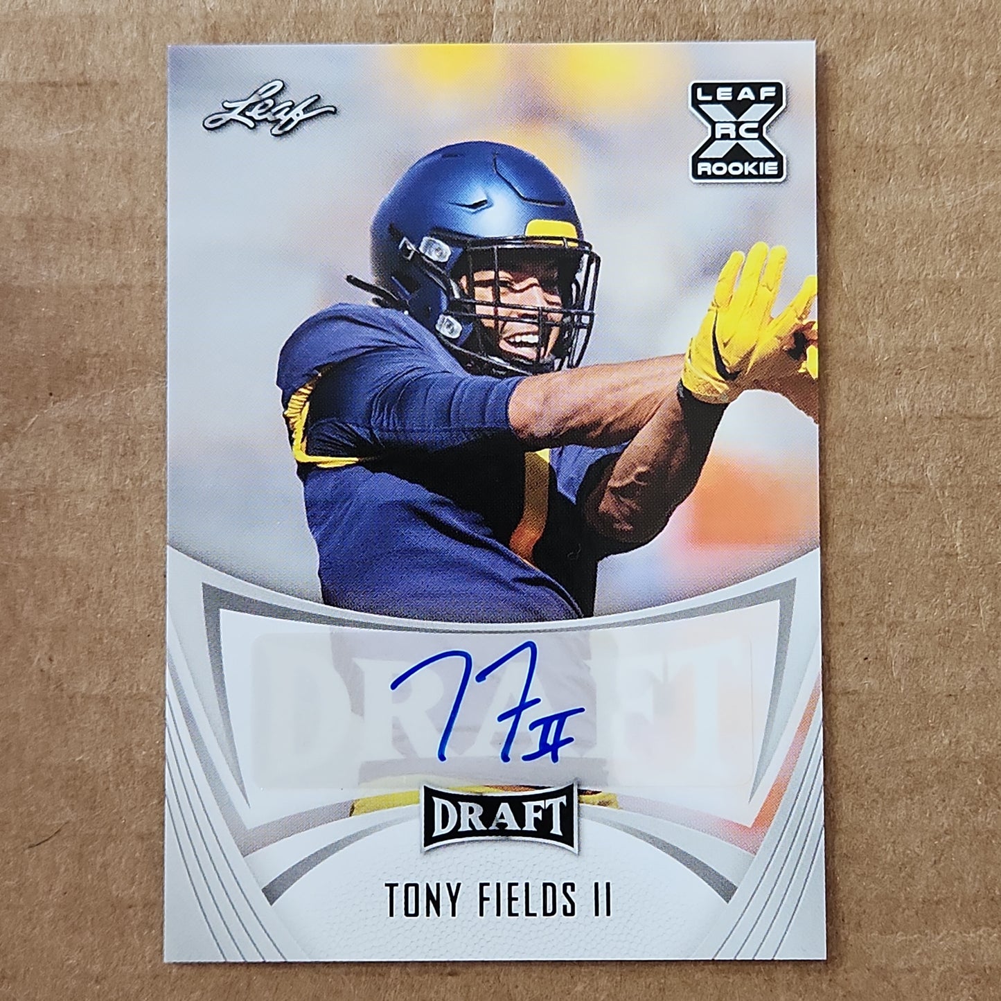 Tony Fields Leaf Auto RC