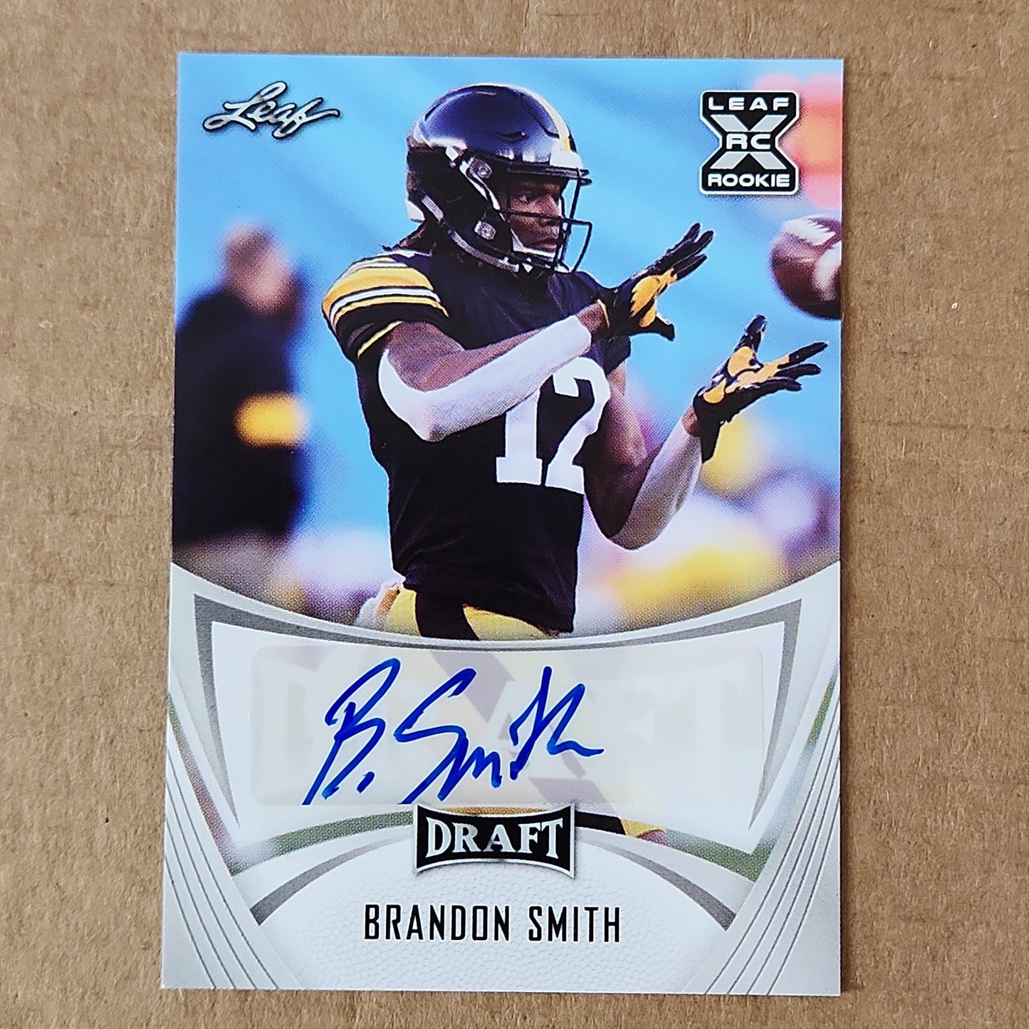 Brandon Smith Leaf Auto RC